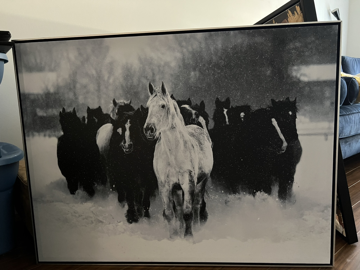 Beautiful framed horse picture