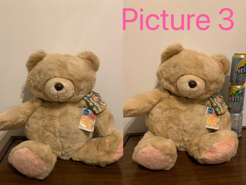 Brand New Forever Friends (Hallmark Cards)Teddy Bear/ plush image indicator(3)