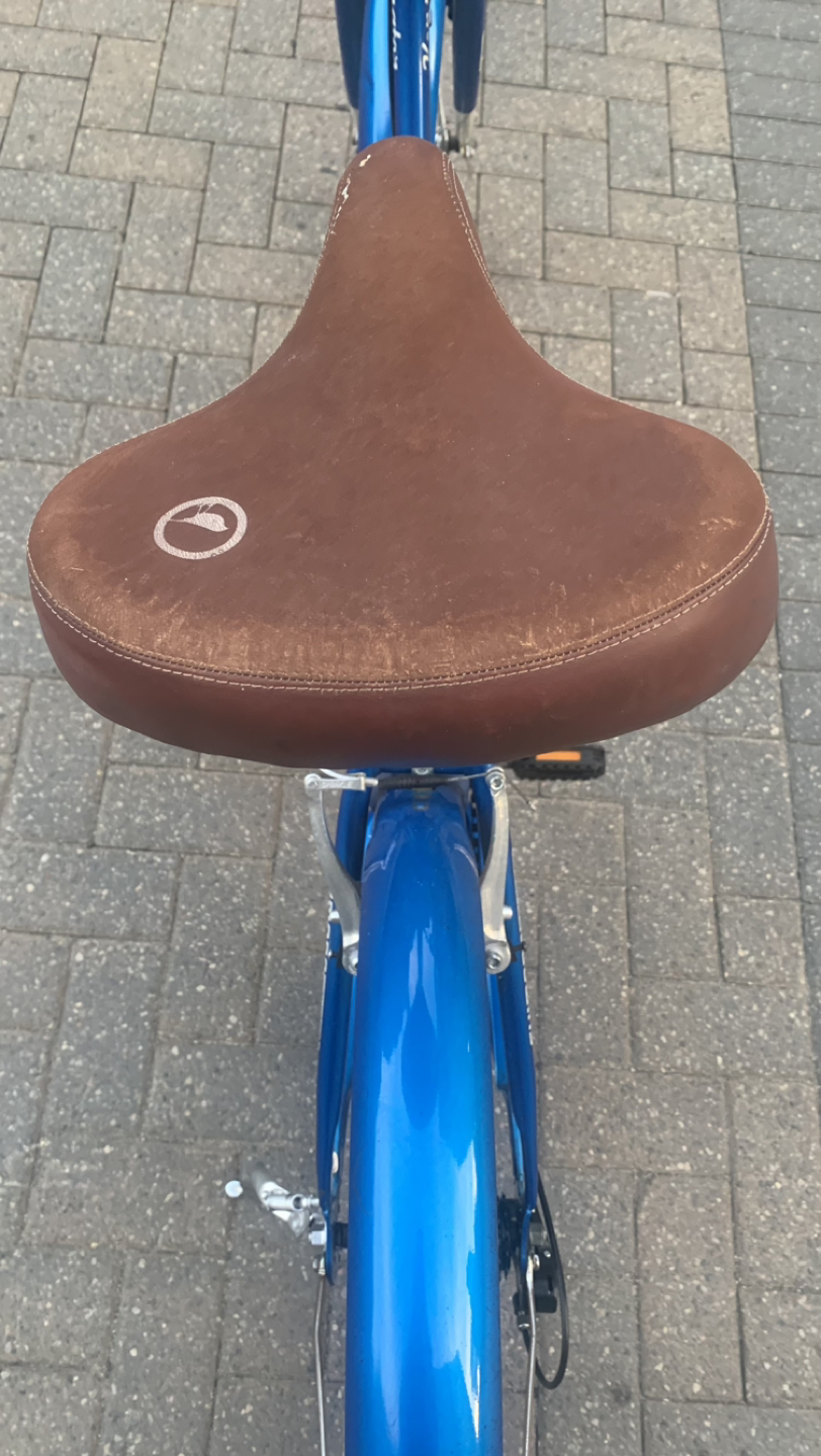 Stylish Luxury Comfort bike with basket image indicator(8)