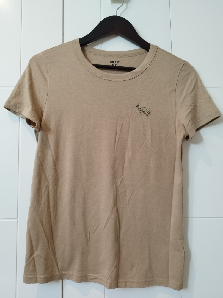 dinosaur to shirt