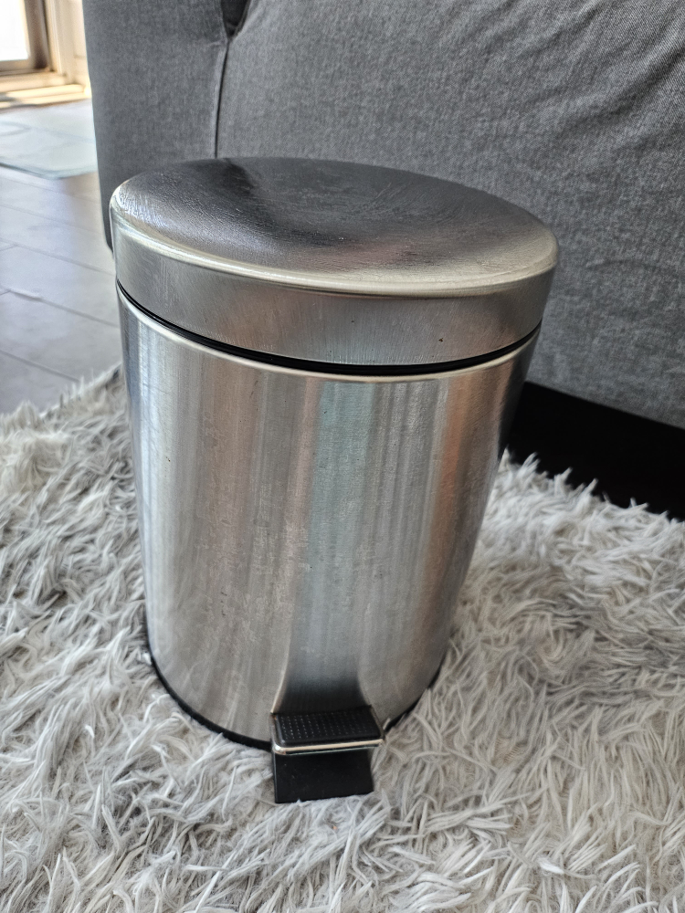 Trash can with pedal