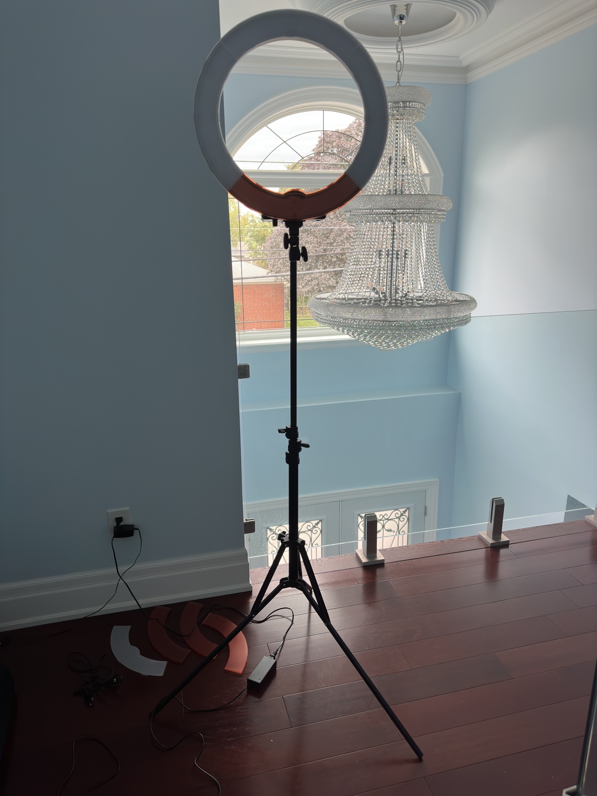 Big Tripod Ringlight - photo 4