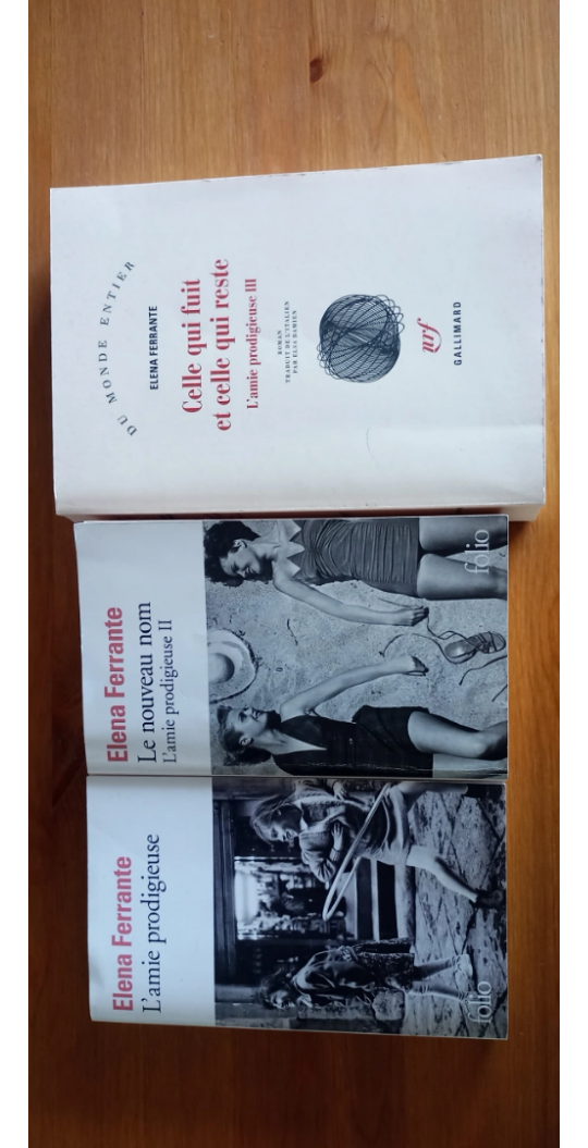 French books image indicator(3)