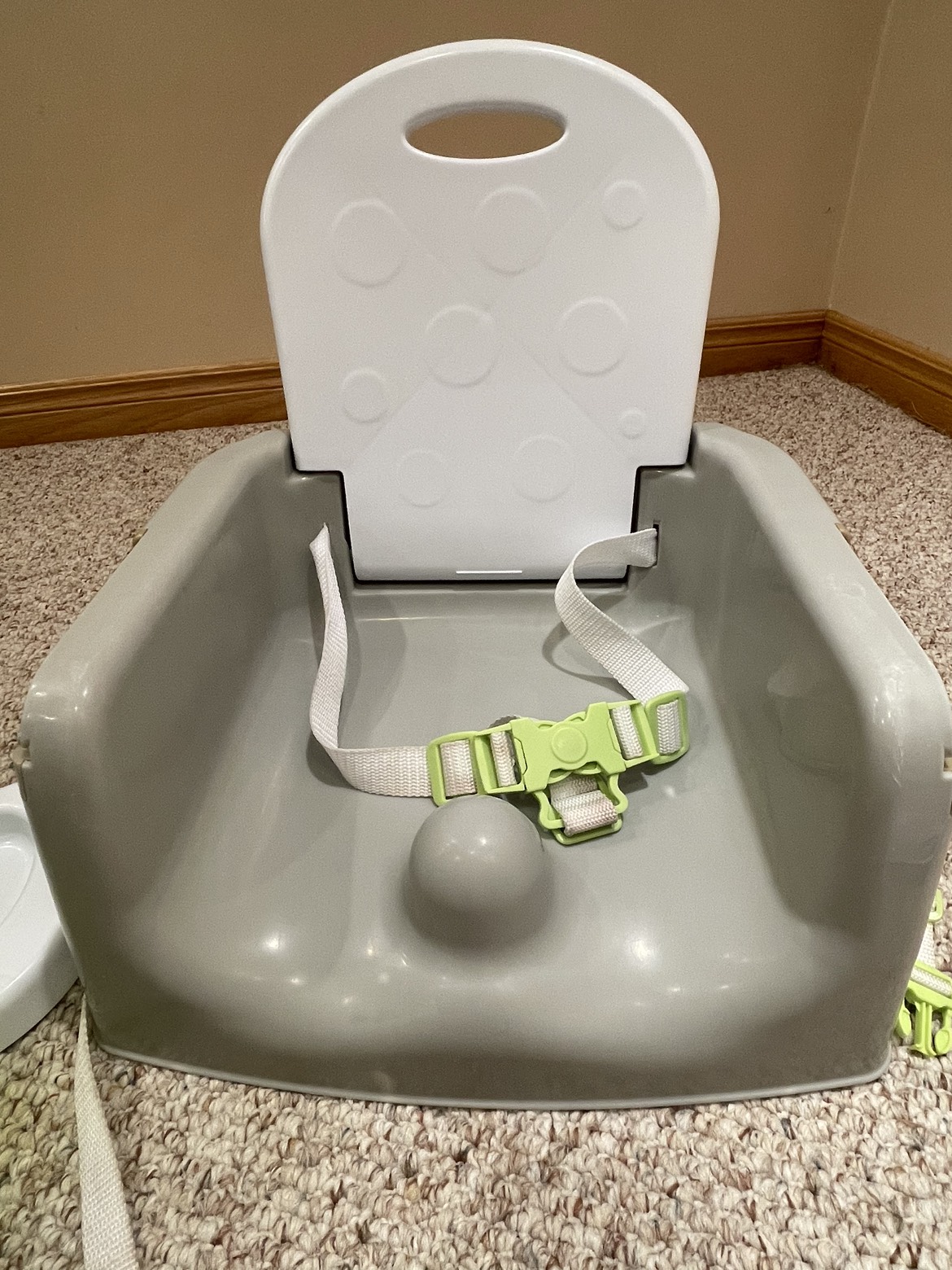 Deluxe Booster Seat - photo 5