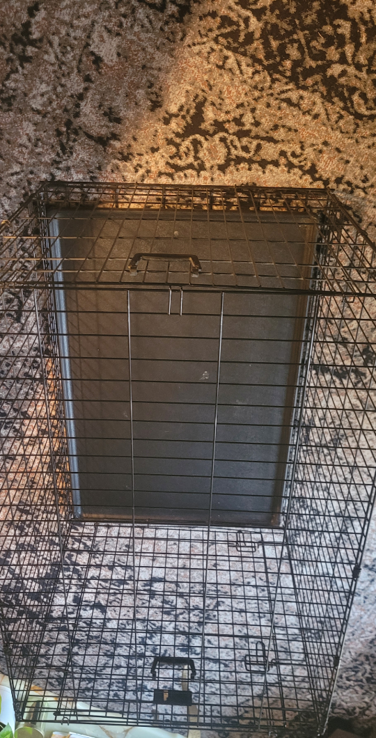 Large Metal Dog Crate 41in by 28in, Single Door, Foldable image indicator(3)