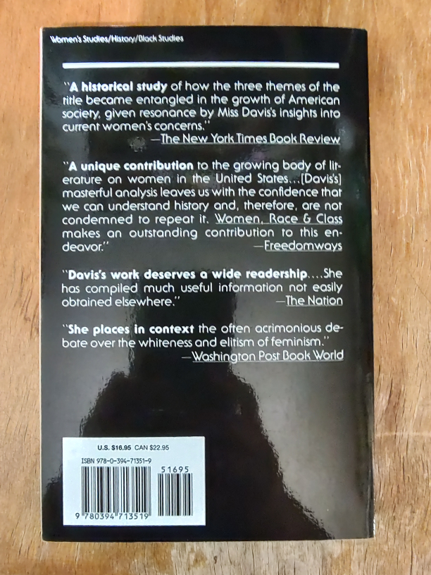 Book: Angela Davis - Women Race and Class image indicator(2)