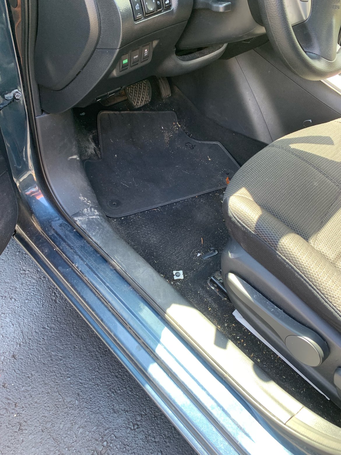 Express Auto Detailing - photo 3
