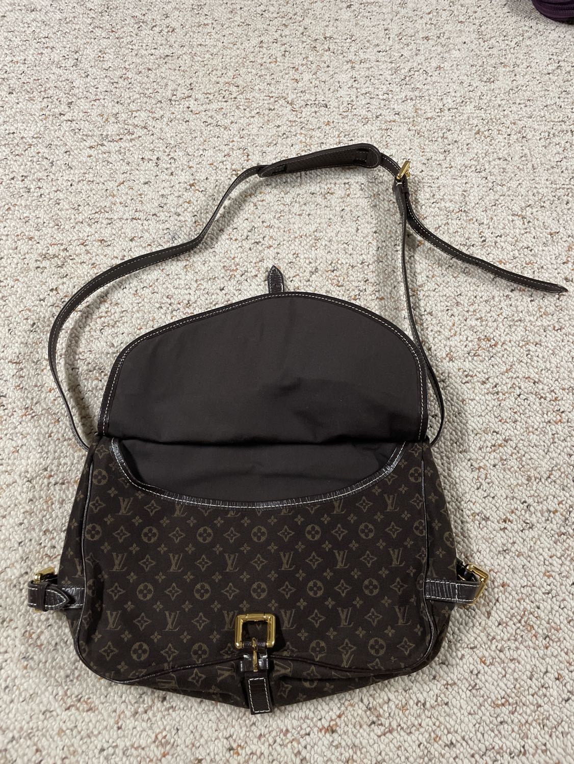 Vintage Louis Vuitton bag image indicator(3)