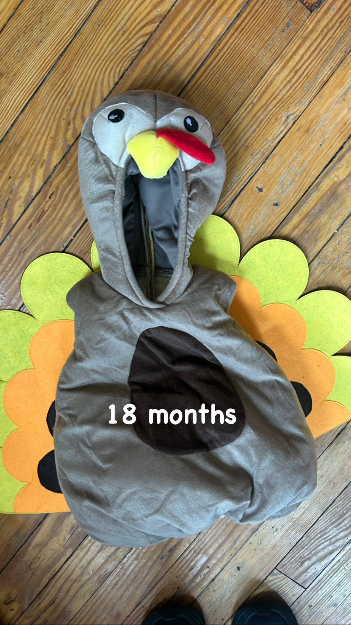 Turkey costume