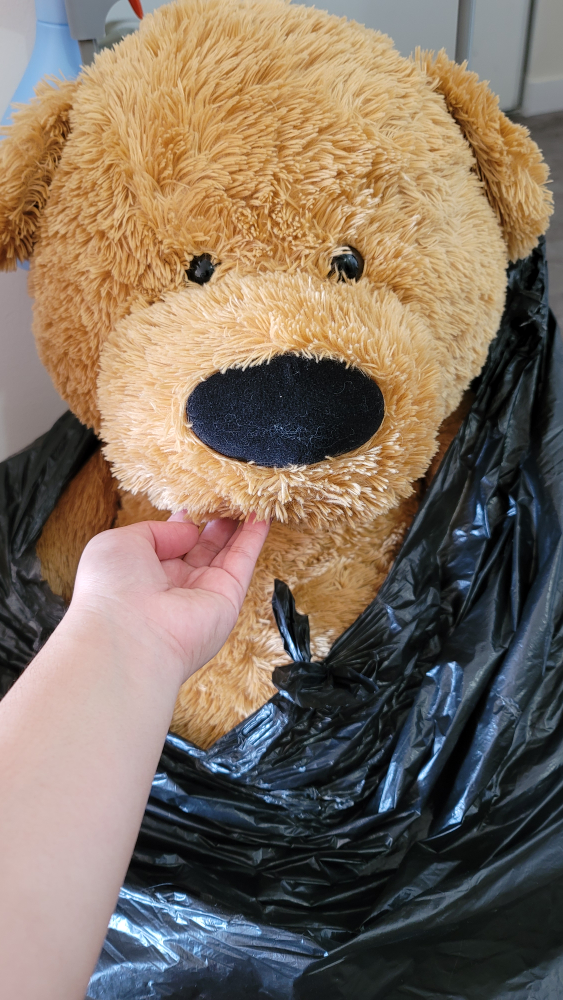 Medium size teddy bear thumbnail