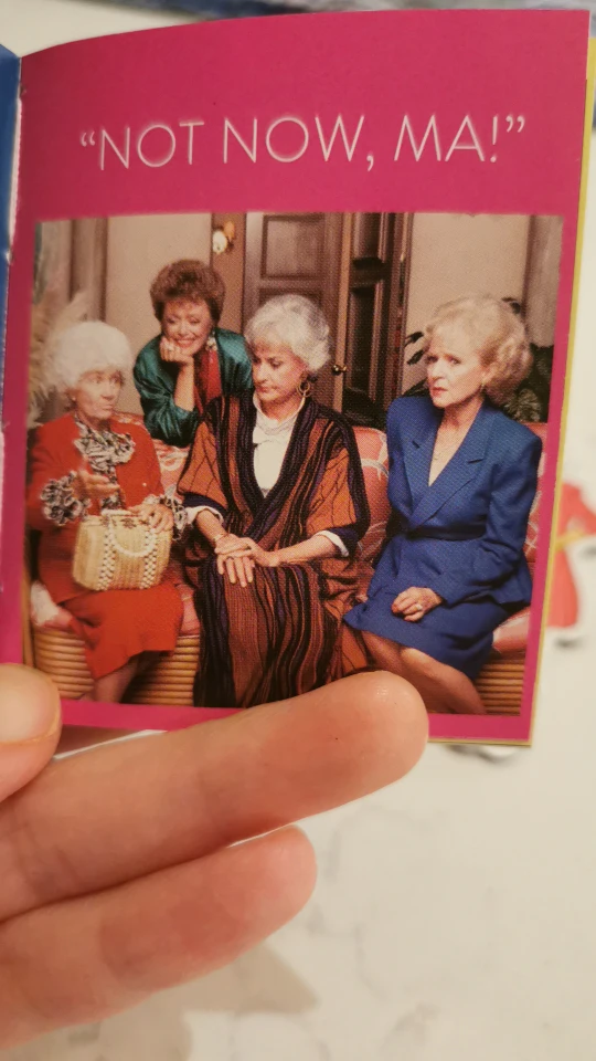 Golden Girls Magnet Set 🌴 image indicator(5)