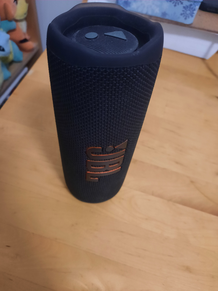 JBL Flip 6 Bluetooth Speaker