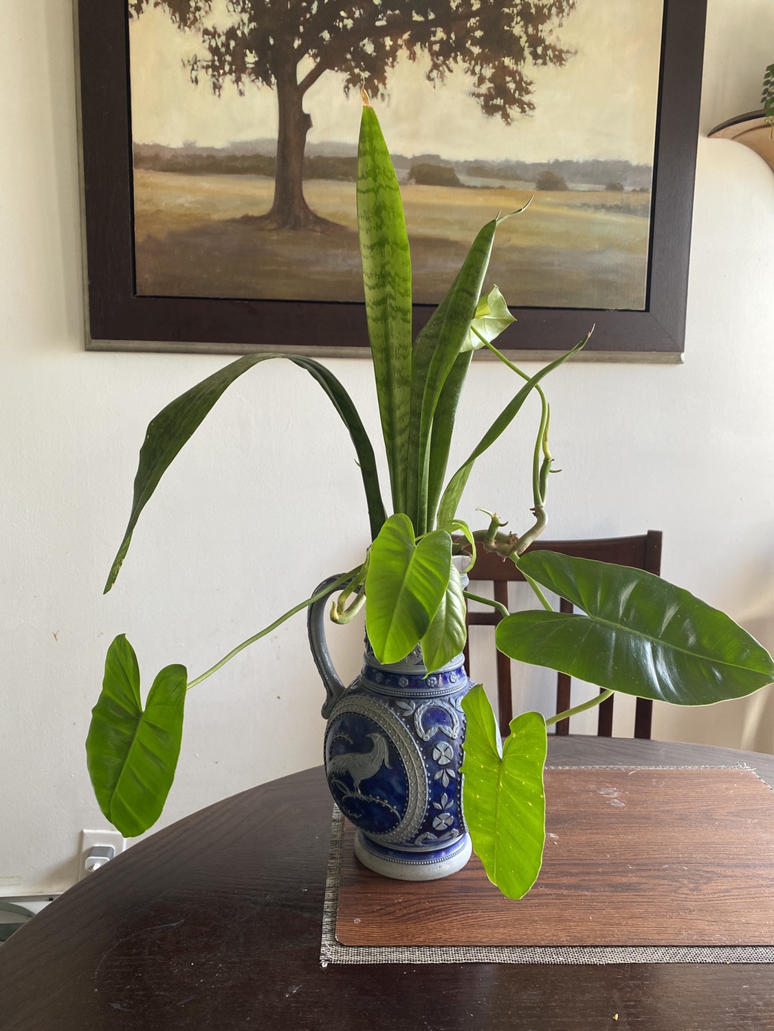 Water plants