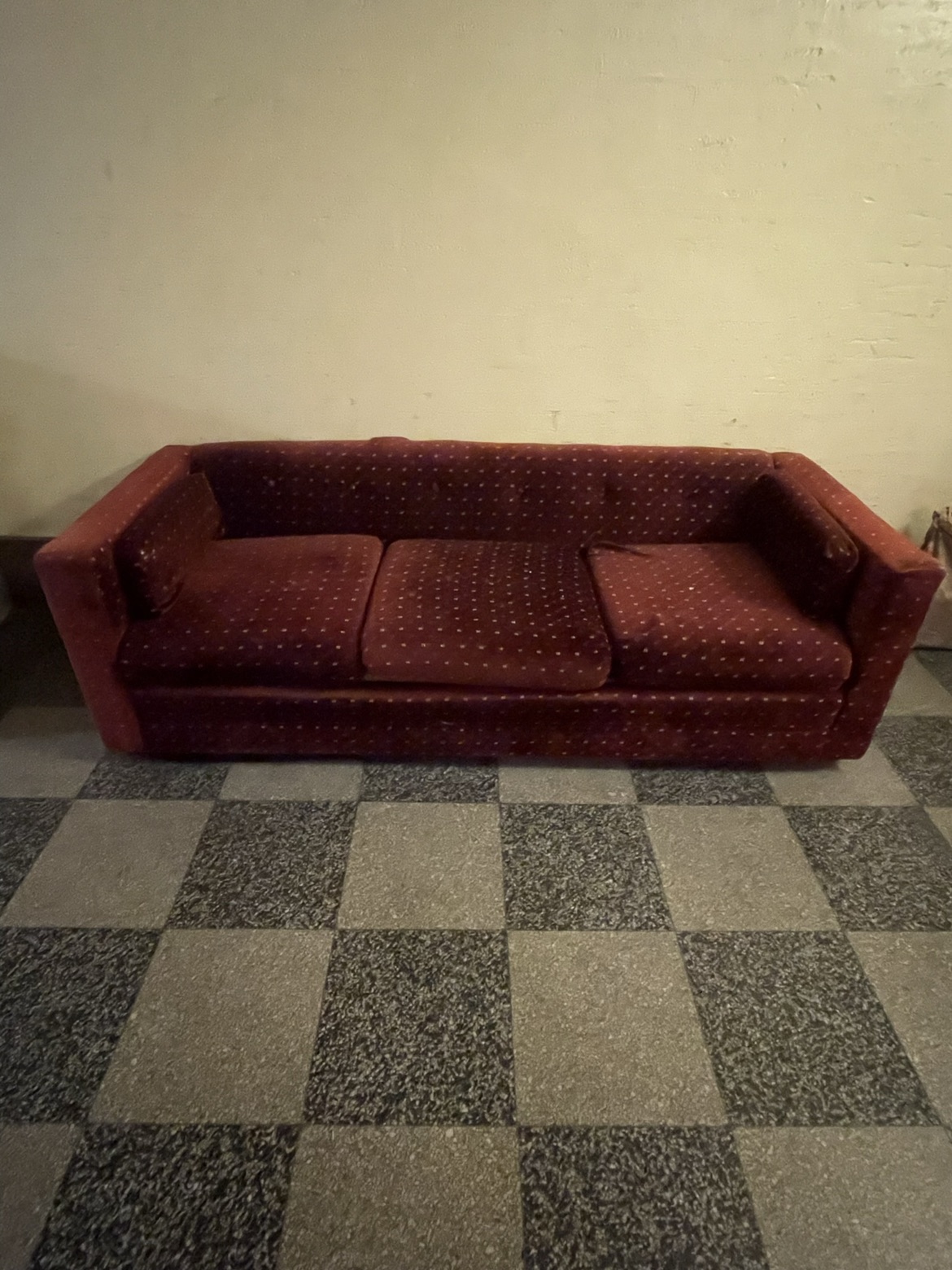 Velvet Couch