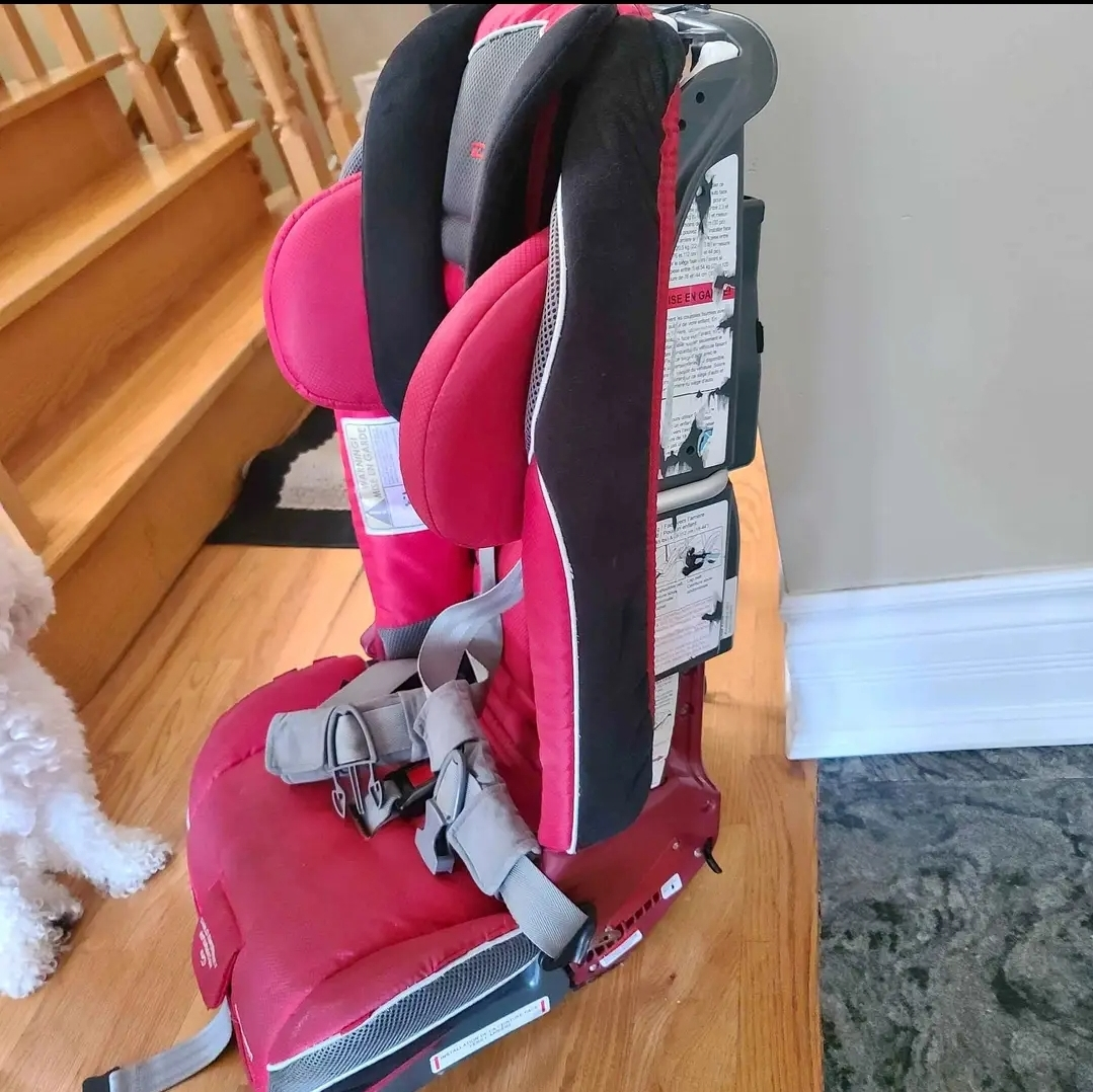 diona radian car seat - photo 3