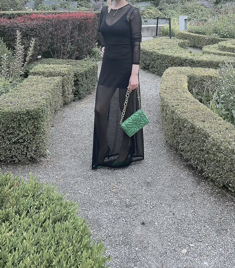 Dress 👗 image indicator(2)