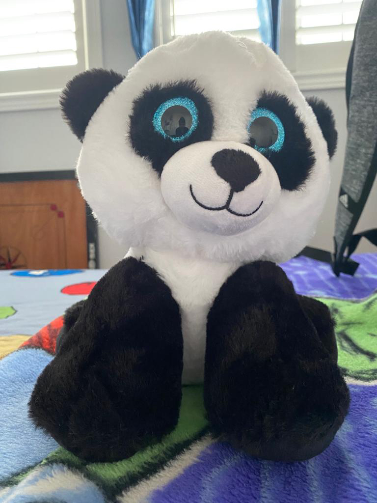 Panda 🐼 bear ❄️ - photo 3