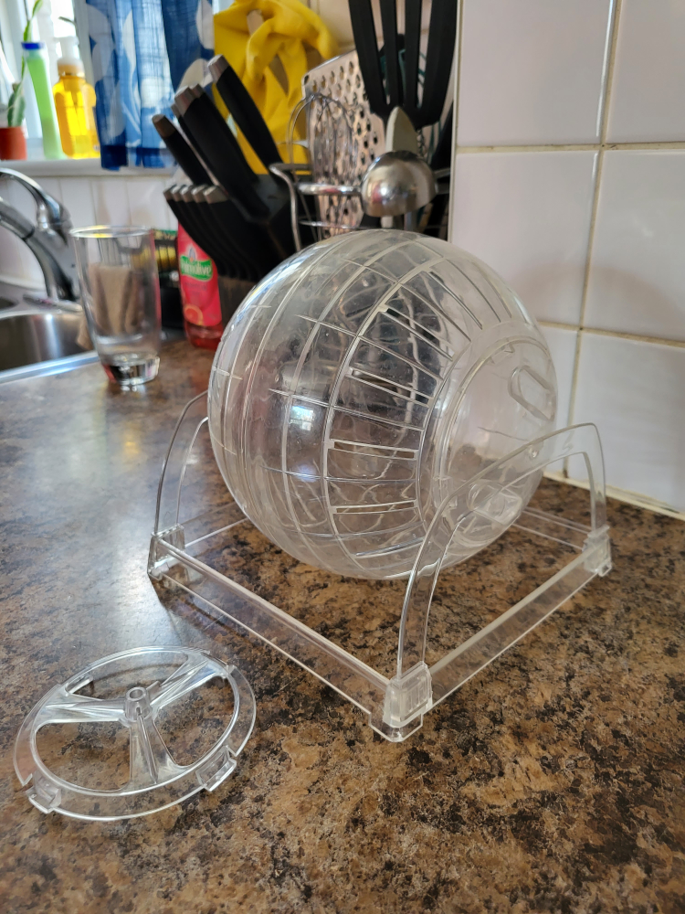 Hampster exercise ball thumbnail