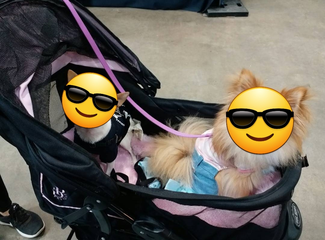 Pet gear stroller