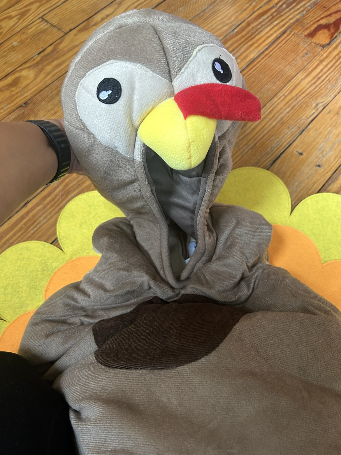 Turkey costume - photo 2