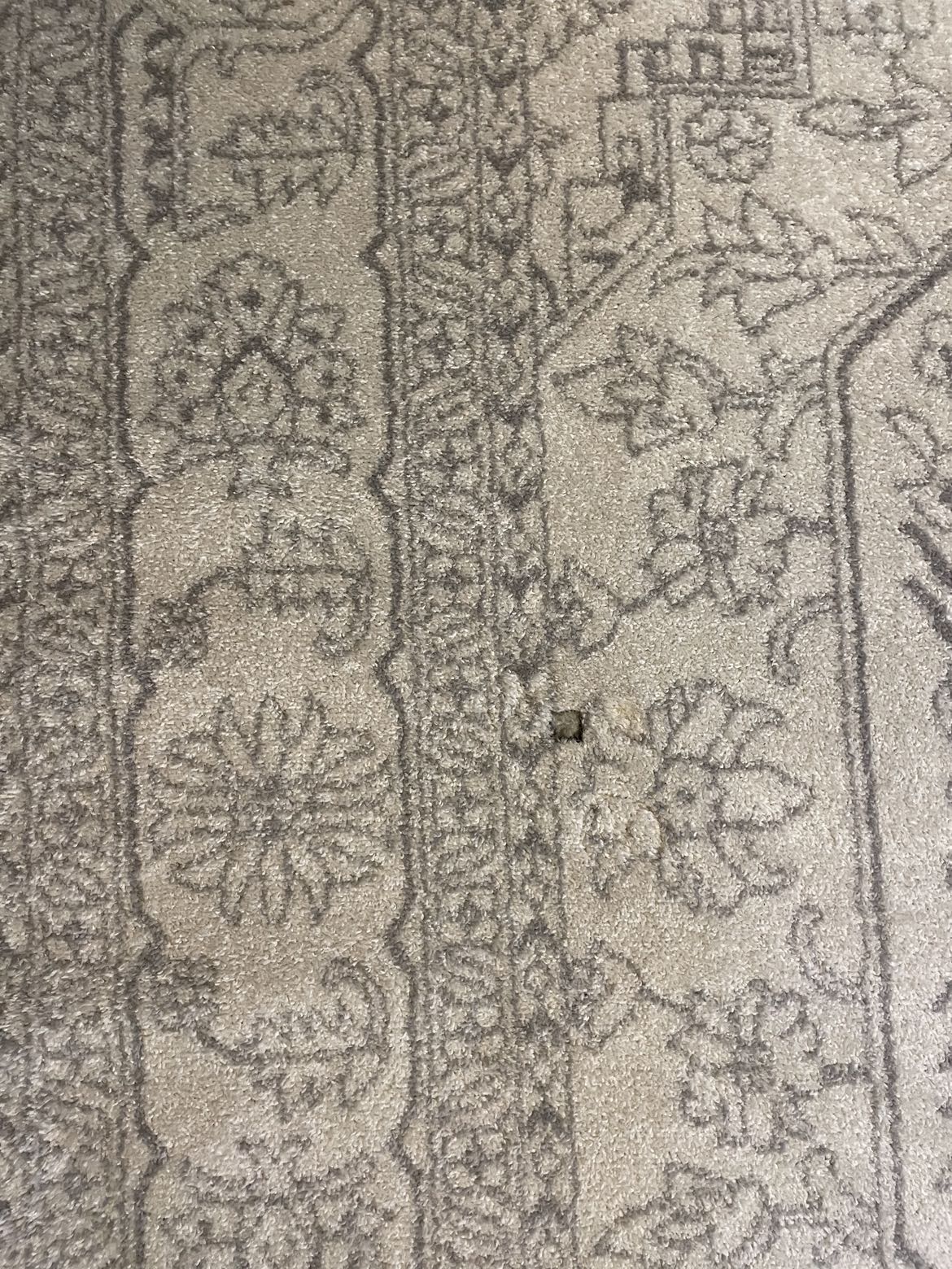 Safavieh Rug 8’x10’ - photo 3