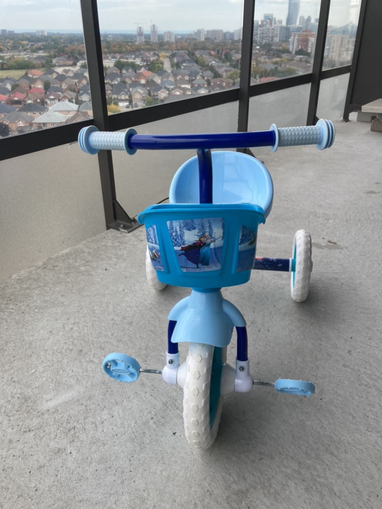Frozen Tricycle - photo 2
