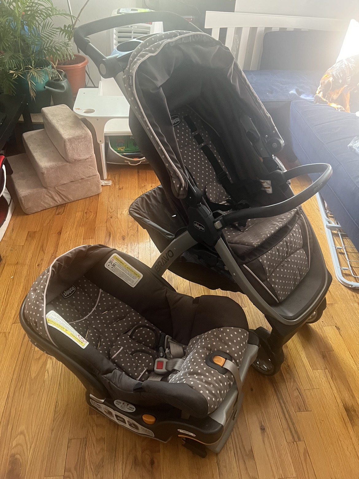 Stroller with car seat and many accessories