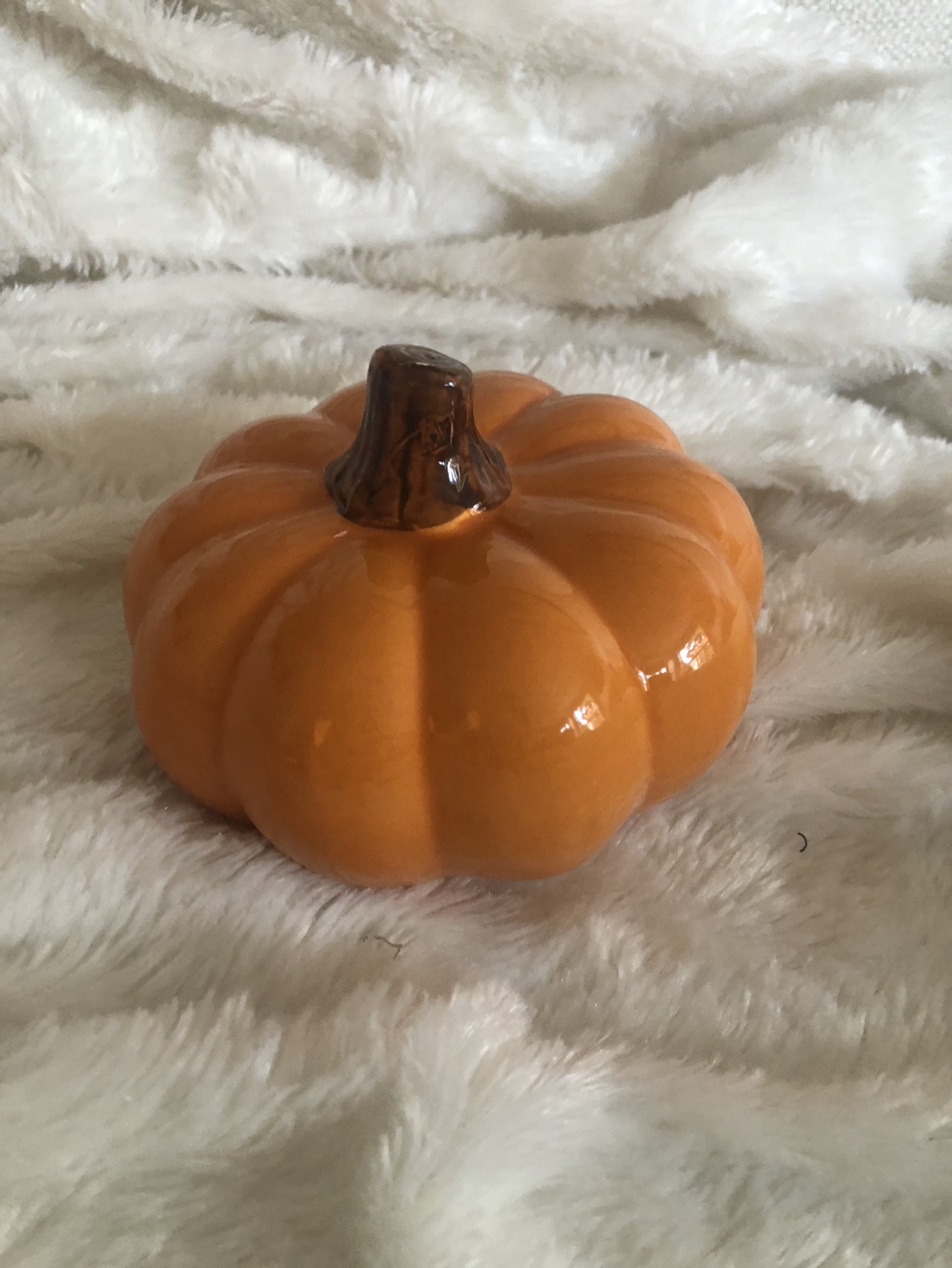 Fall Decor SET of 2 image indicator(4)