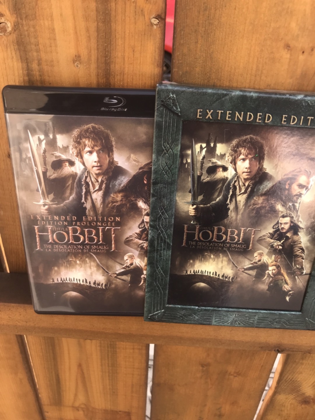 The Hobbit movie