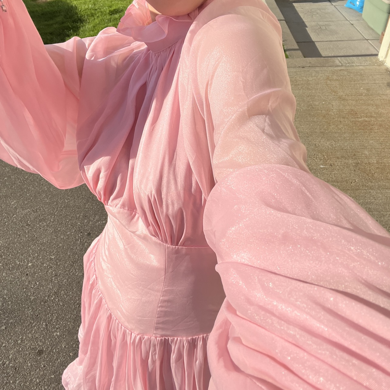 Pastel Pink High Neck Silk Organza Dress image indicator(7)