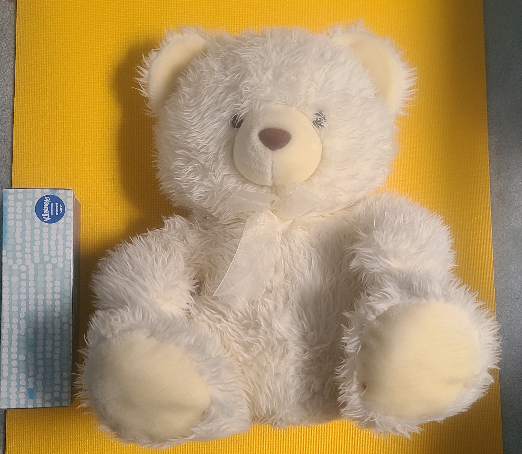 Teddy bear soft toy #freecycle image indicator(2)