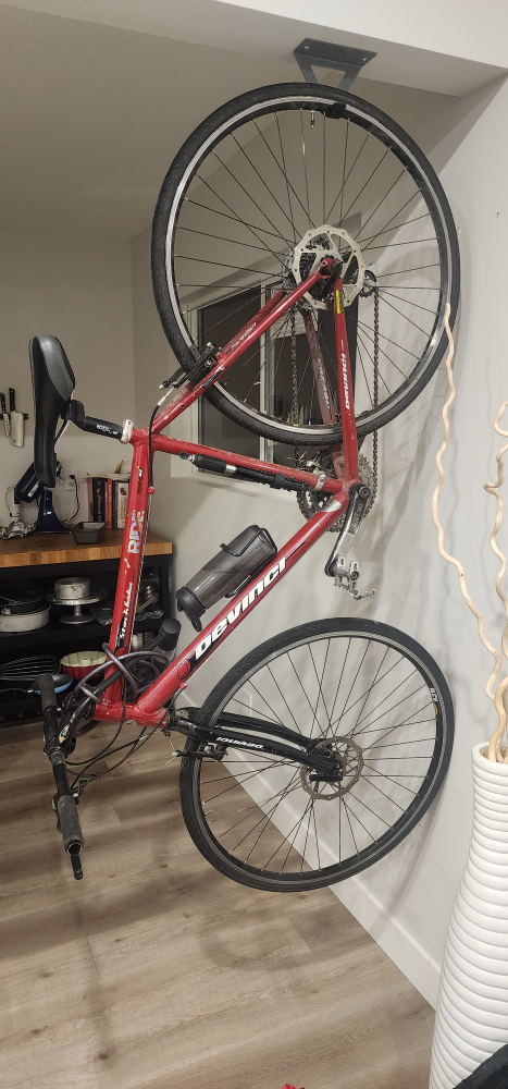Davinci Bike thumbnail