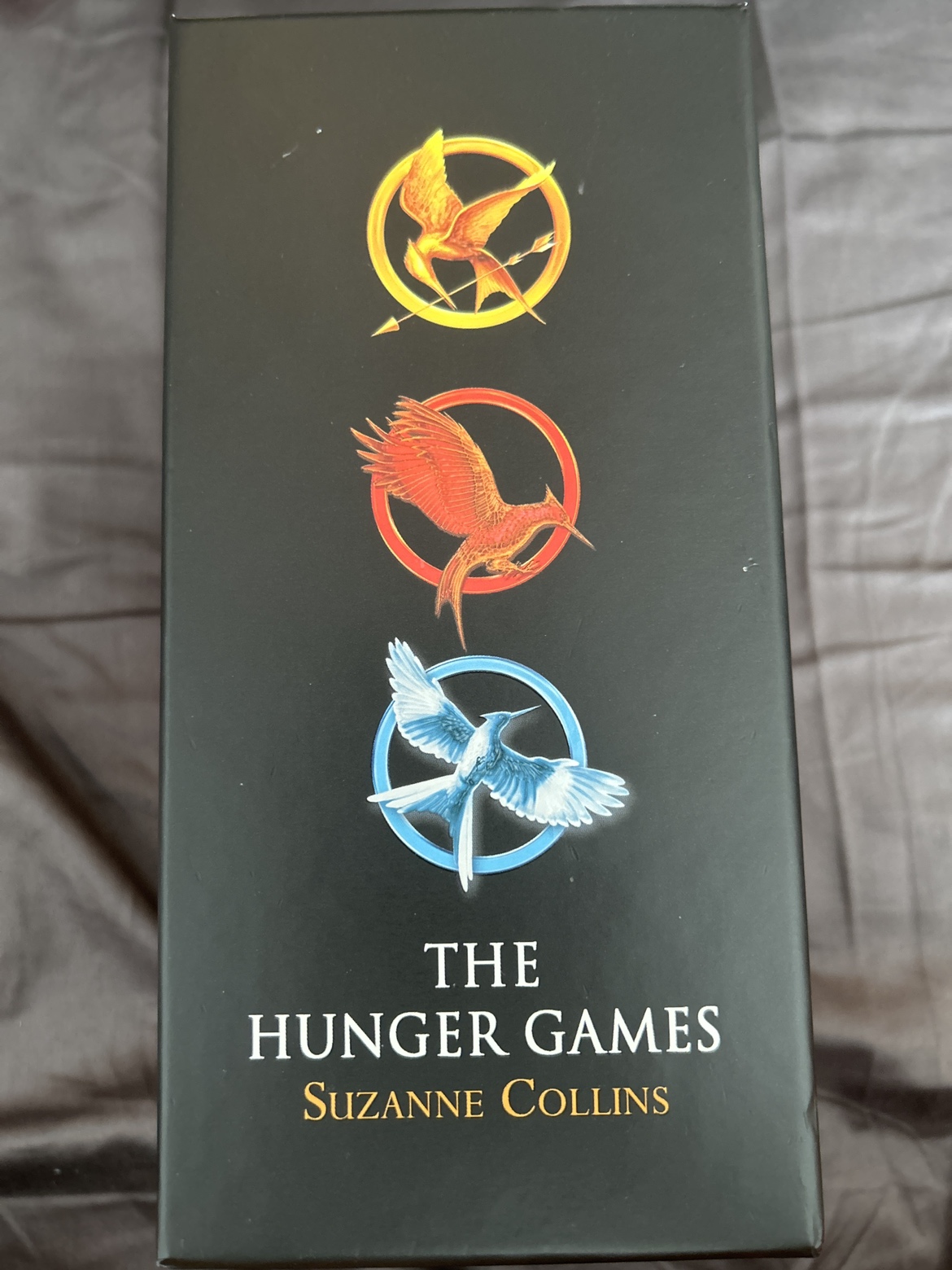 Hunger Games Trilogy - photo 2