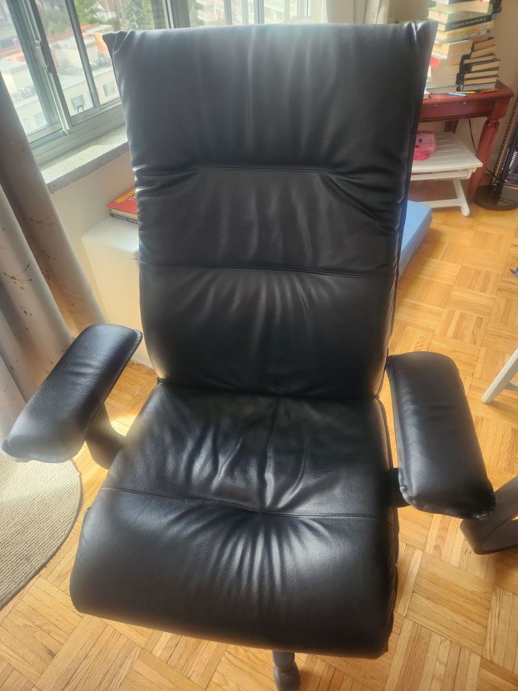 Genuine Leather Reading Chair