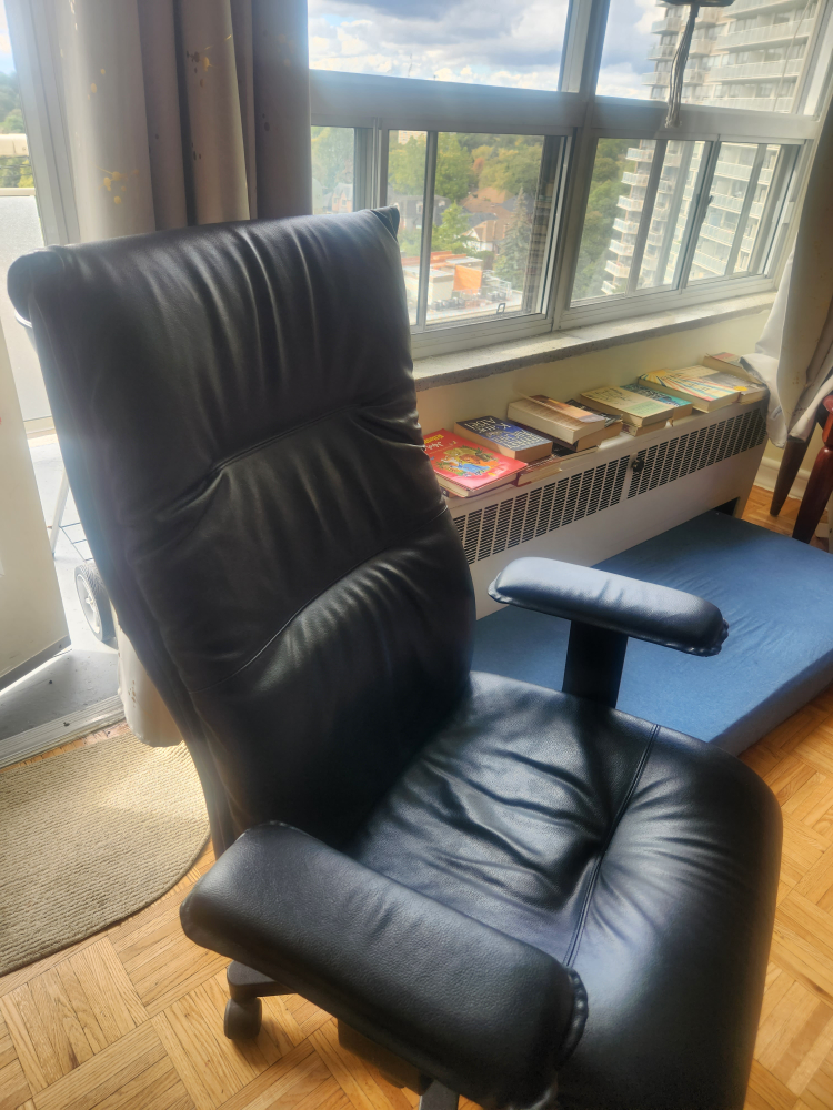 Genuine Leather Reading Chair - photo 3