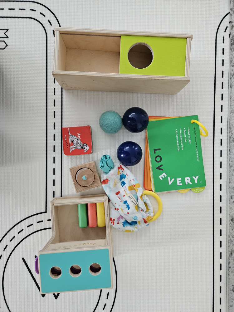 GUC Lovevery Thinker Kit (11-12M)