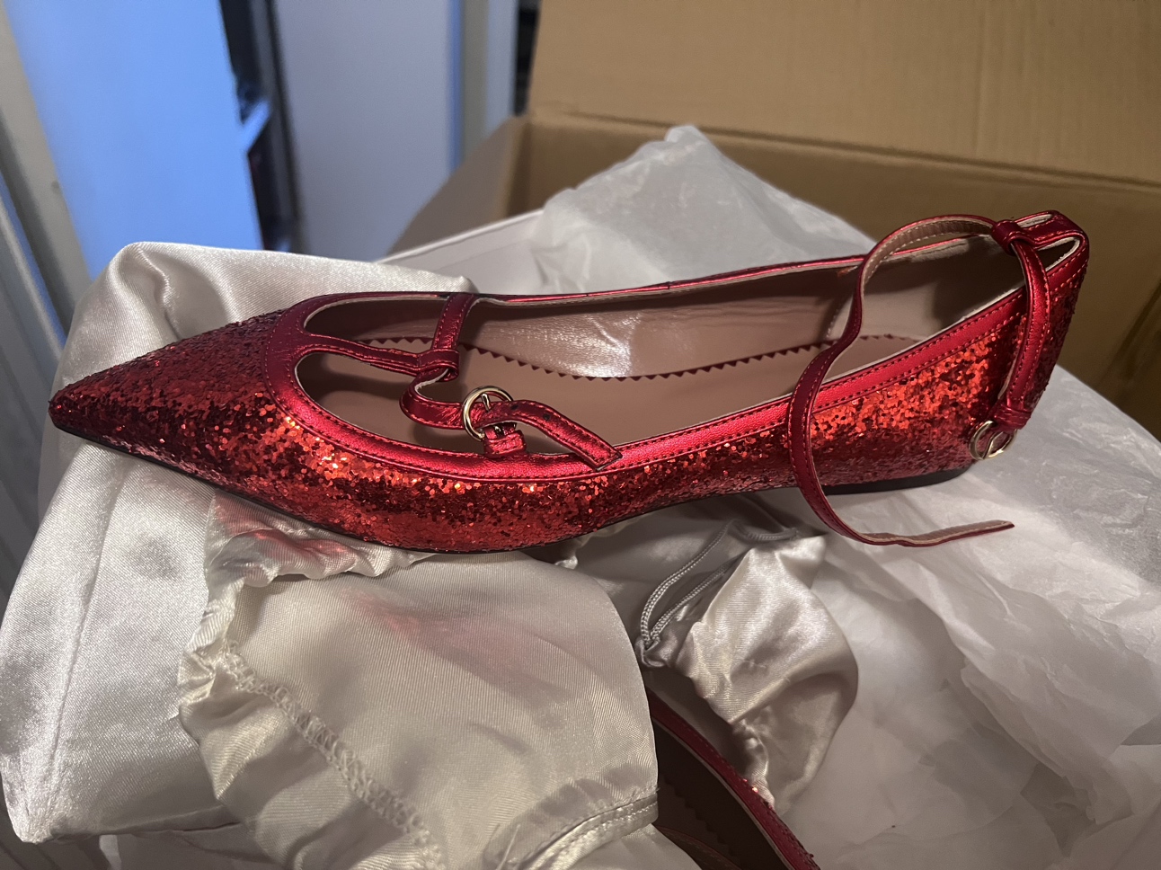 Valentino ballerina image indicator(2)