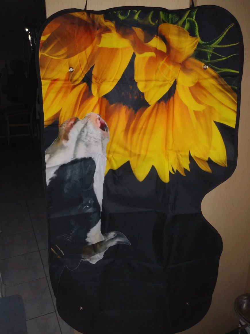 NEW!   Car Windshield Sun Shade Cover thumbnail
