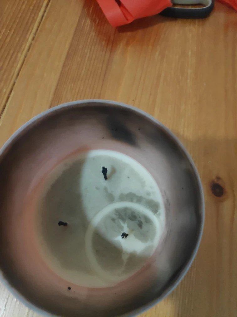 Champagne Toast Candle image indicator(2)