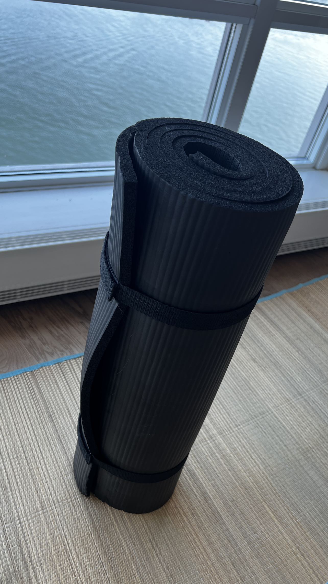 Fitness Mat 🦃 thumbnail