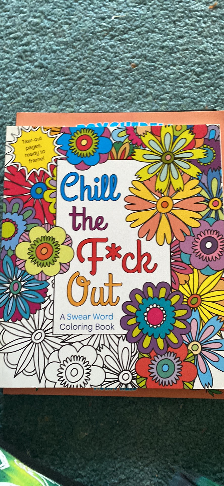Adult colouring books - photo 2