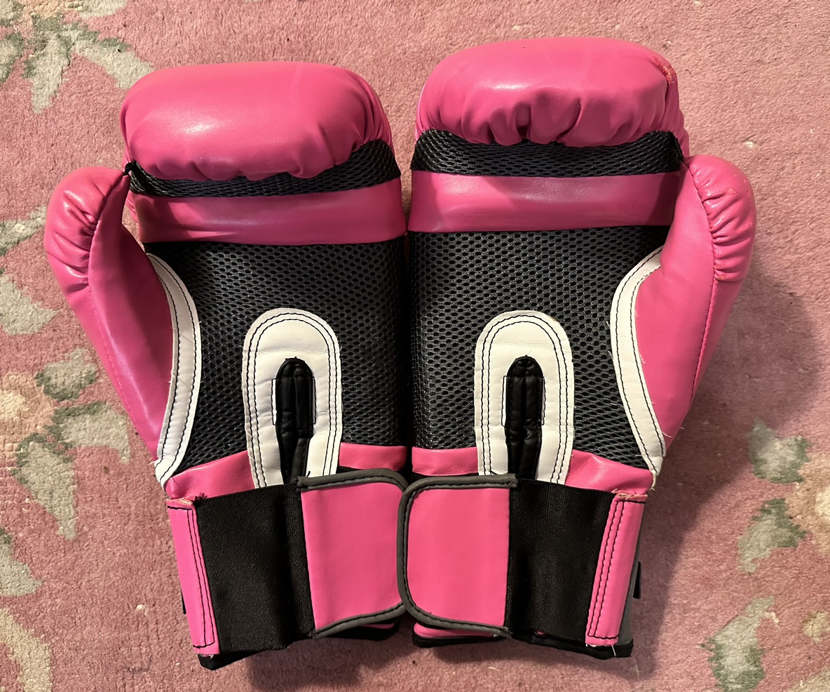 Everlast Pro Style2 Training Boxing Gloves - photo 2