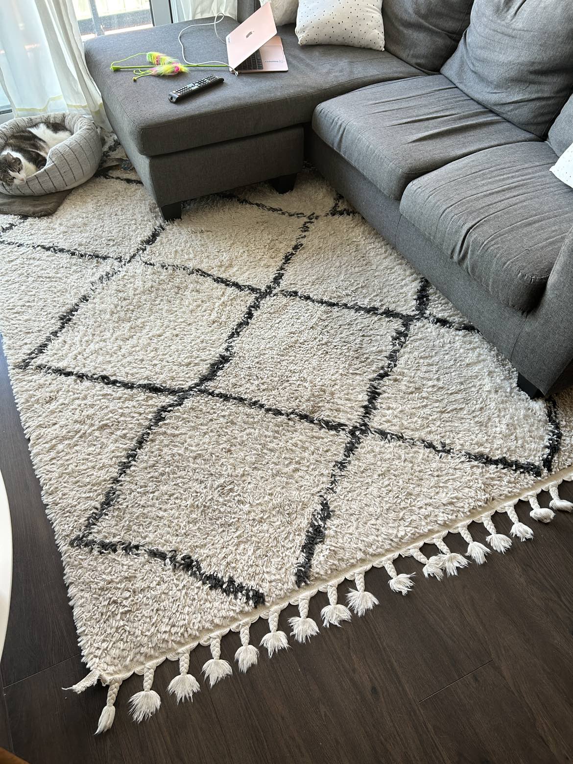 Wayfair area rug 5’3”x7’7”