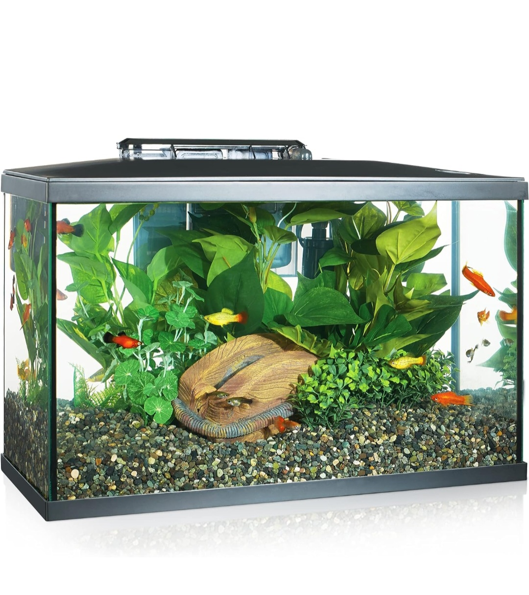 Marin 10 Gallon fish aquarium - photo 5