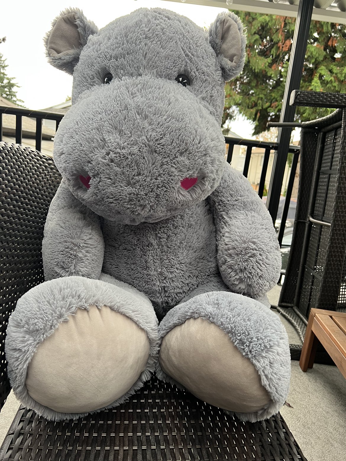 Stuffed Animals - Assorted image indicator(5)