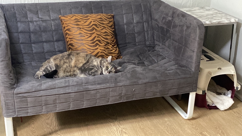 Futon - photo 2