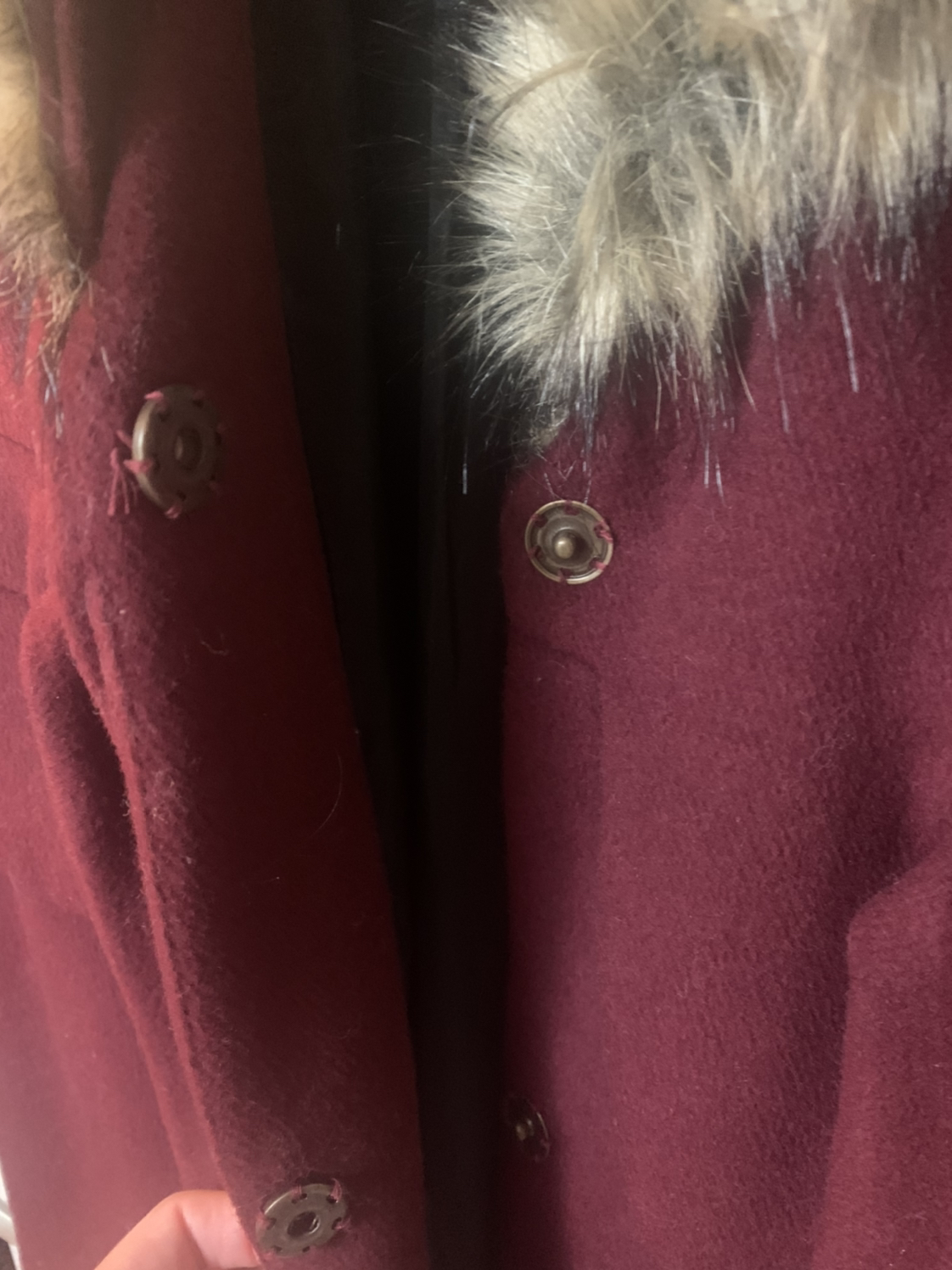 Dressy Burgundy Coat image indicator(2)