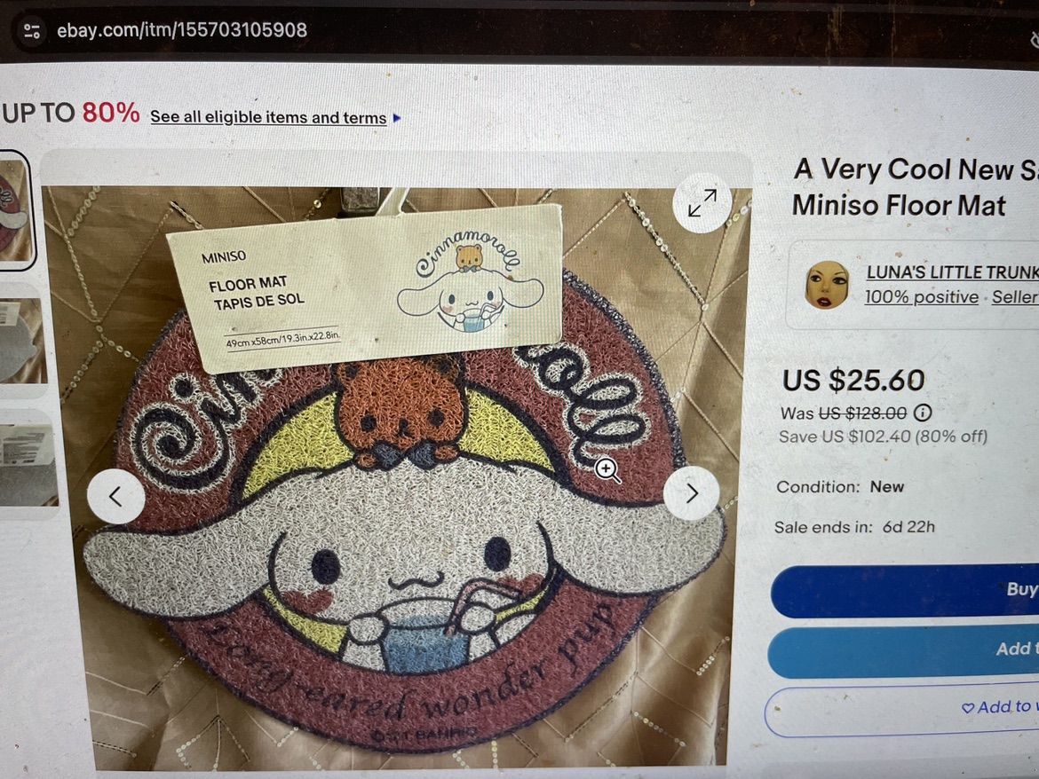 Brand New cinnamoroll floor mat