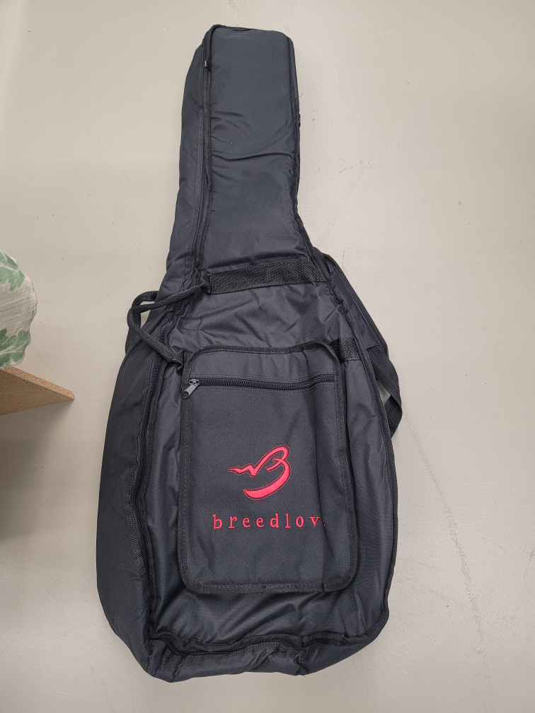 Black Padded Guitar Case thumbnail