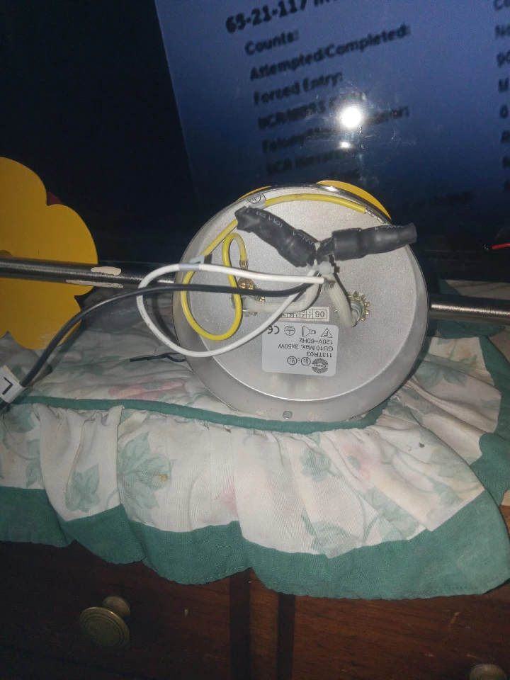 LadyBug Ceiling Light!!! - photo 5